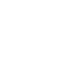 Icono de violín